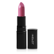 Lipstick 254